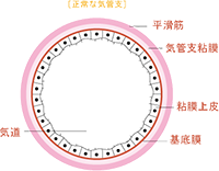 イメージ画