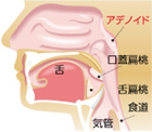 イメージ画